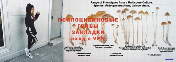 мет Армянск