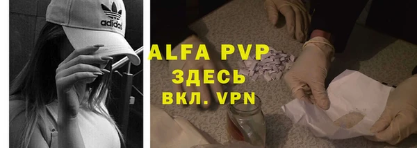 индика Баксан